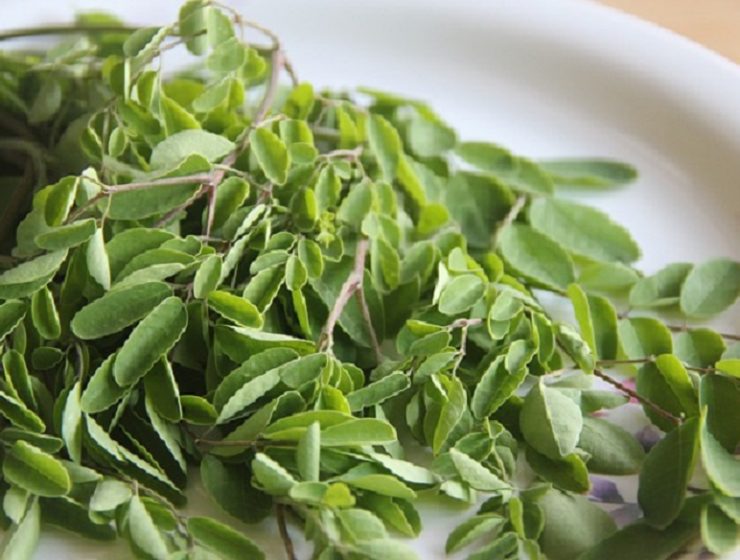 Uses of Moringa For Kids