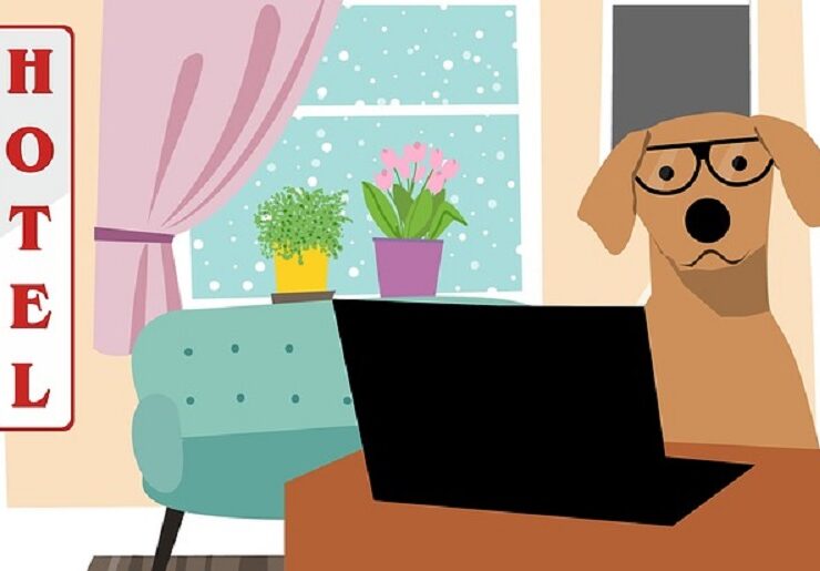 Pet Hotel