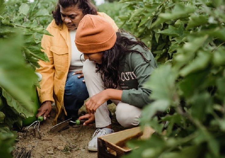 Gardening Secrets Every Landscaper Should Know