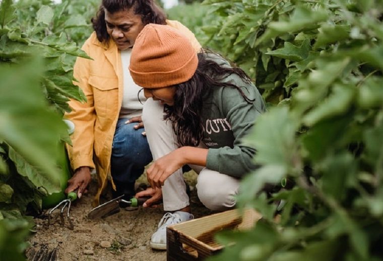 Gardening Secrets Every Landscaper Should Know