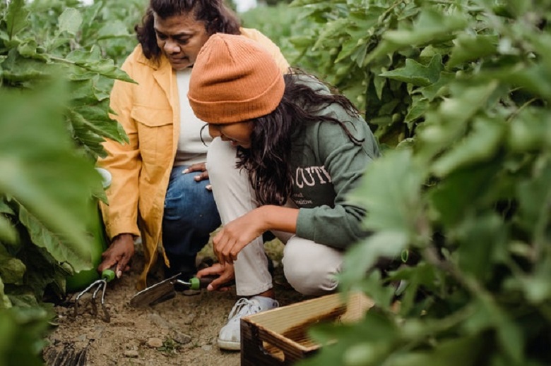 Gardening Secrets Every Landscaper Should Know