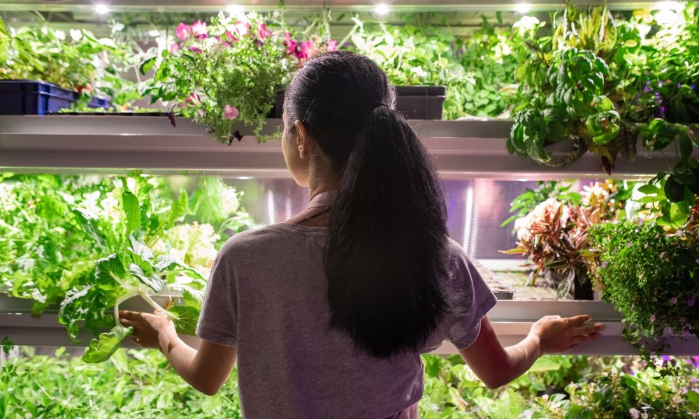 Racking Solutions for your Home Greenhouse and Garden