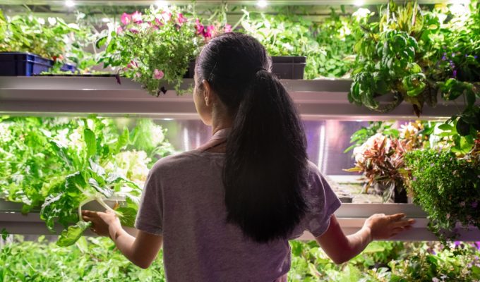 Racking Solutions for your Home Greenhouse and Garden