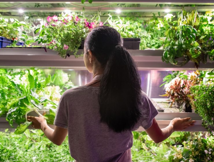 Racking Solutions for your Home Greenhouse and Garden