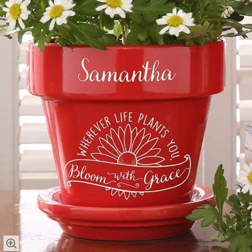 flower plant in a personalized pot