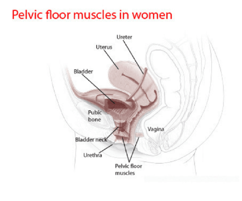 What Can Be Used To Tighten The Vagina?