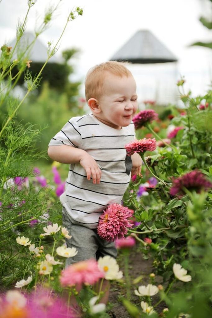 A kid play in the Shrubs garden