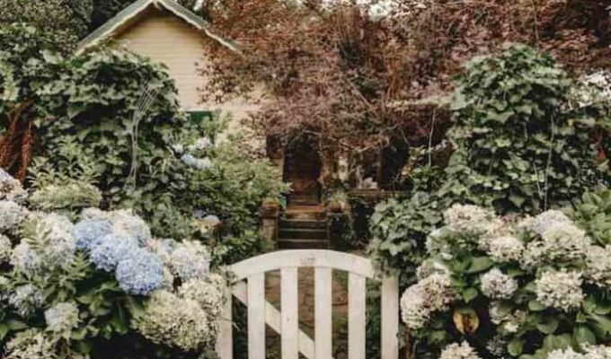 Shrubs are Great to Have in Gardens Where Kids Play