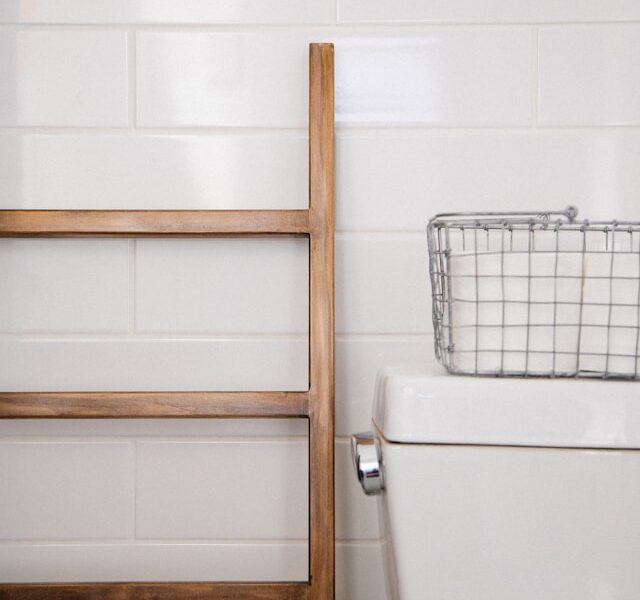 Elevating Toilet Aesthetics