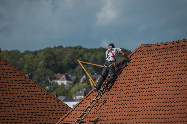 Roofing service