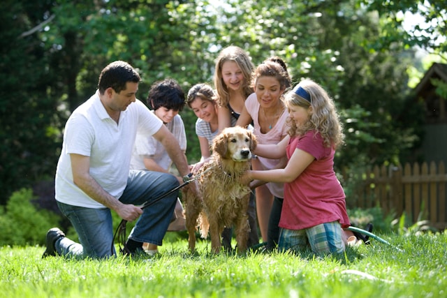 Family Photos